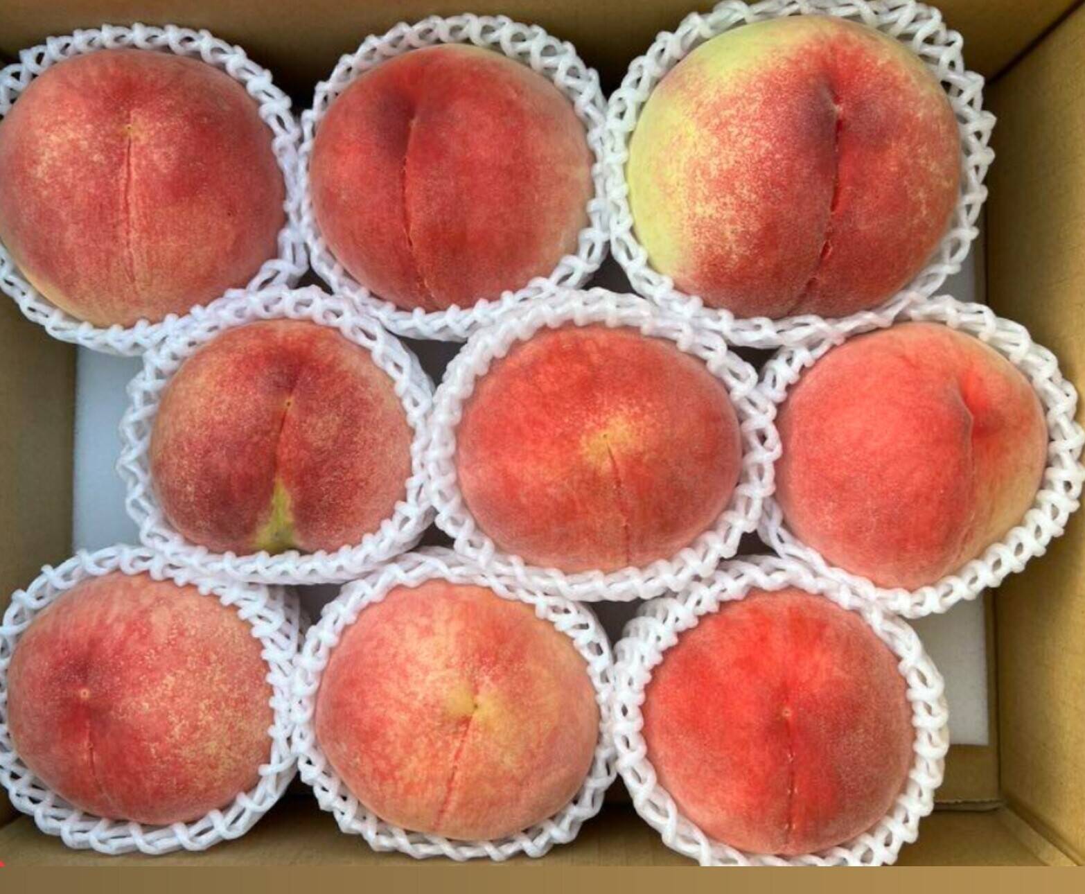 山梨県産　魅惑の夢桃香　夢みずき　EM酵母栽培　生産者直送！ hasumi様 山梨県産 魅惑の夢桃香 EM酵母栽培 生産者直送！