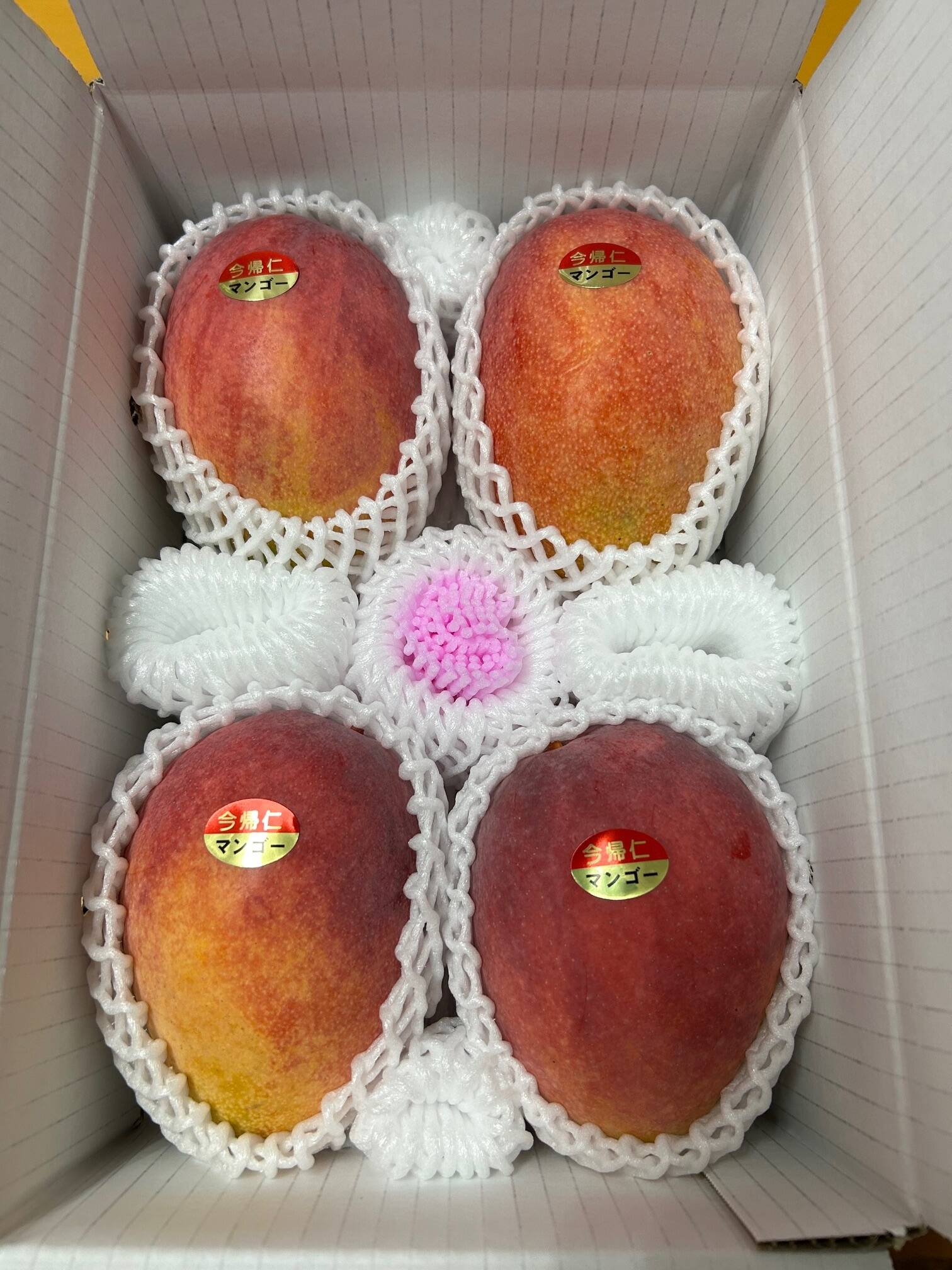 沖縄県産 完熟マンゴー 約2.7kg ヤッチン 予約販売】沖縄県産 完熟マンゴー 特選 約2kg（4〜6玉）｜送料込