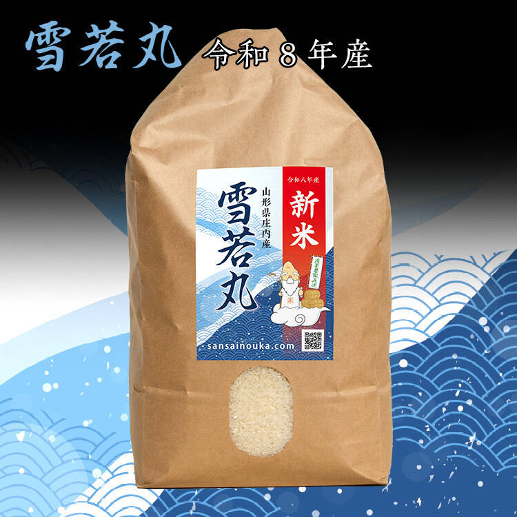 数量限定特価【新米】雪若丸5キロ白米 甘味のある新食感！山形の