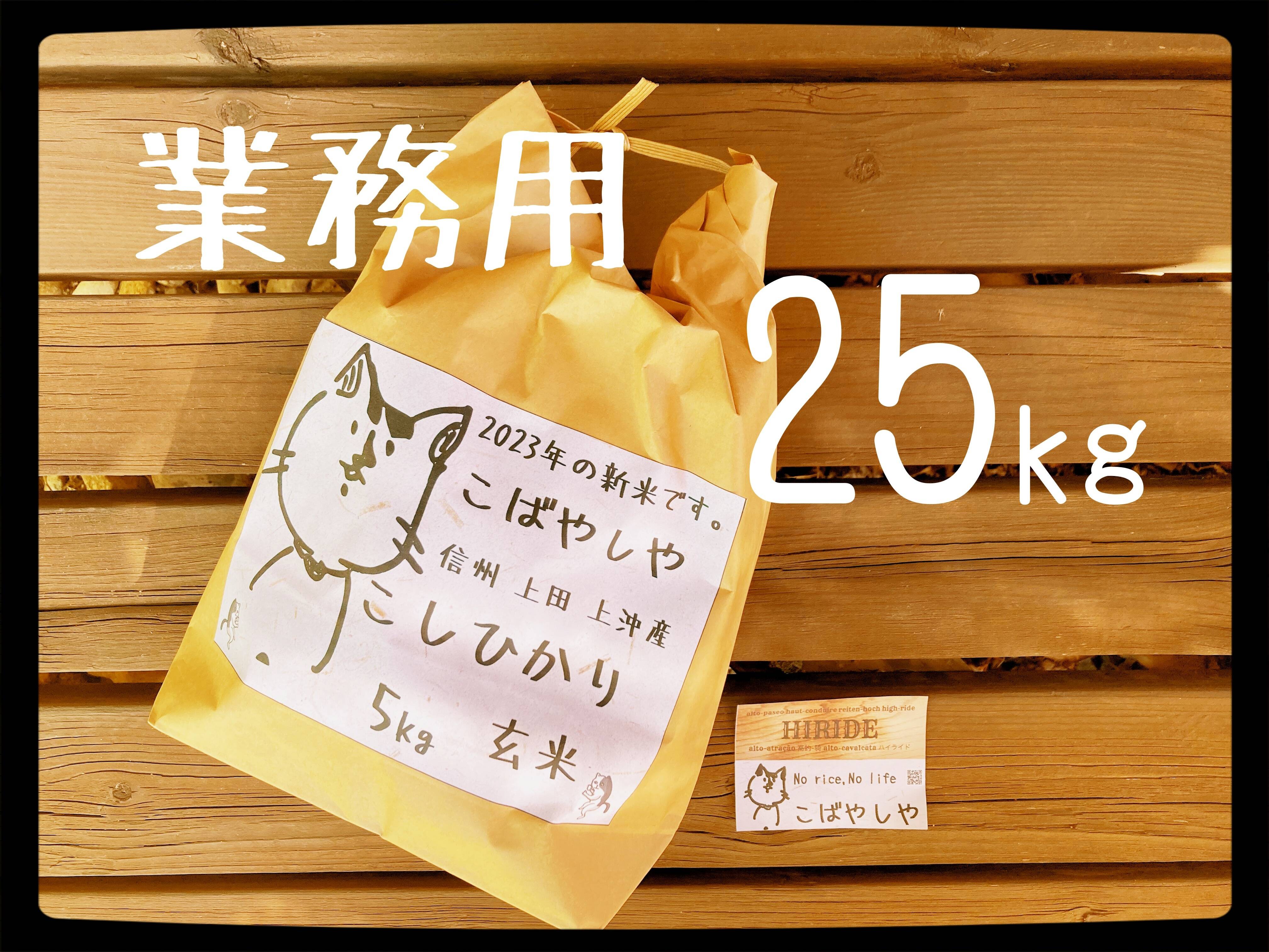 業務用 新米!! 信州上田産コシヒカリ 玄米28kg おむすび お弁当に!! 令