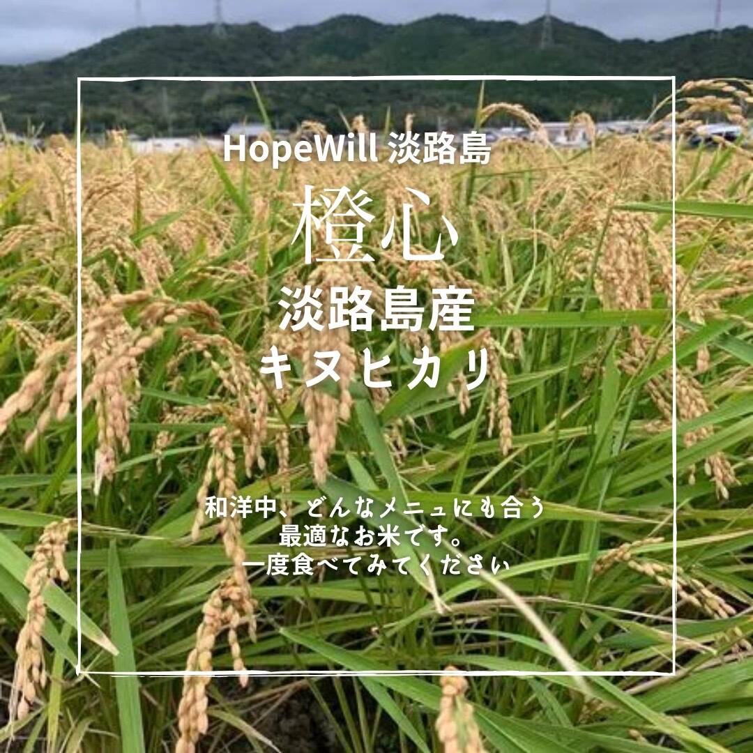 橙心】キヌヒカリ玄米10kg 🌾令和6年度産 淡路島からのお米