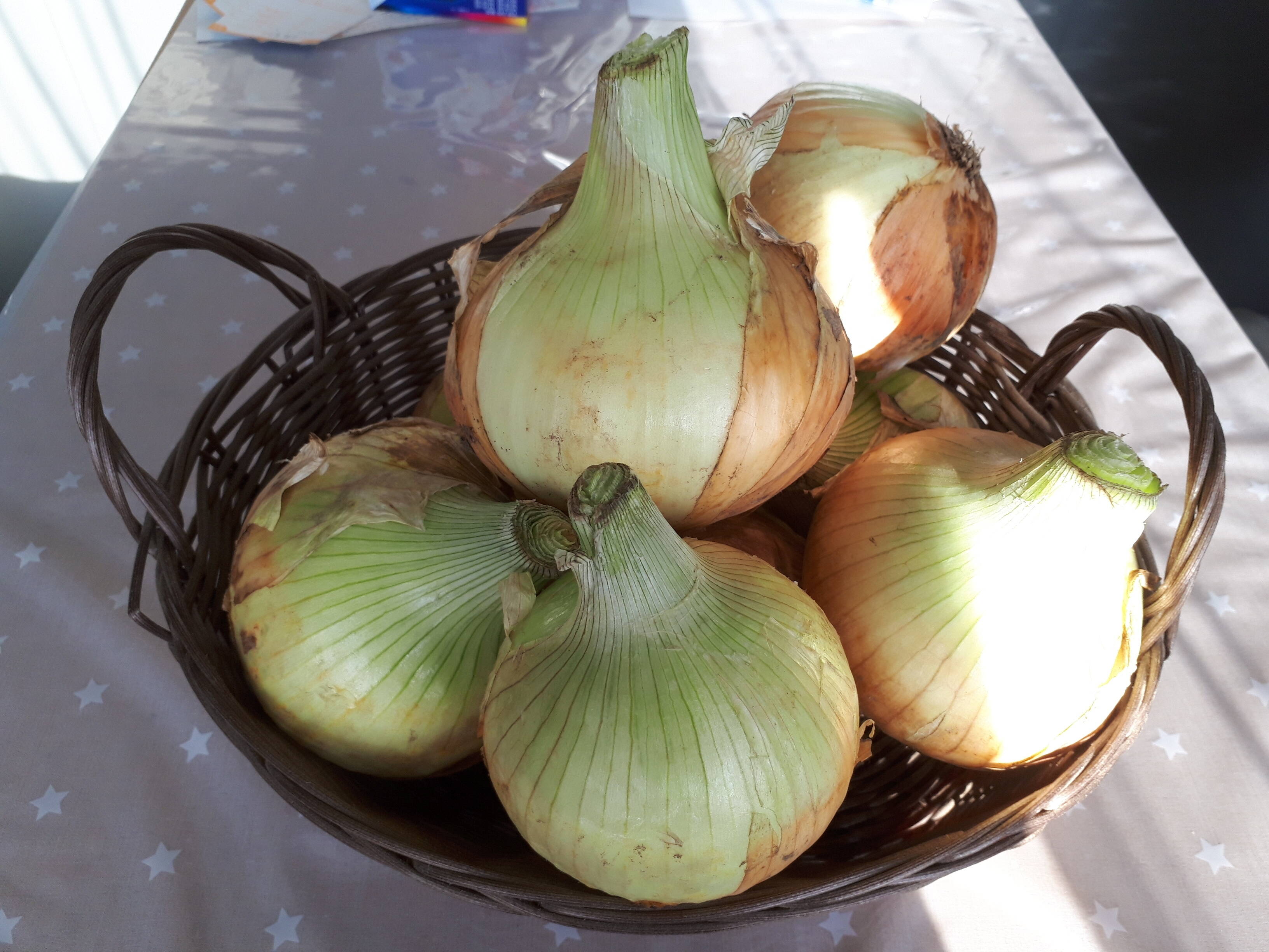 新玉ねぎ約2㎏ 農薬不使用：埼玉県産の野菜｜食べチョク｜産地