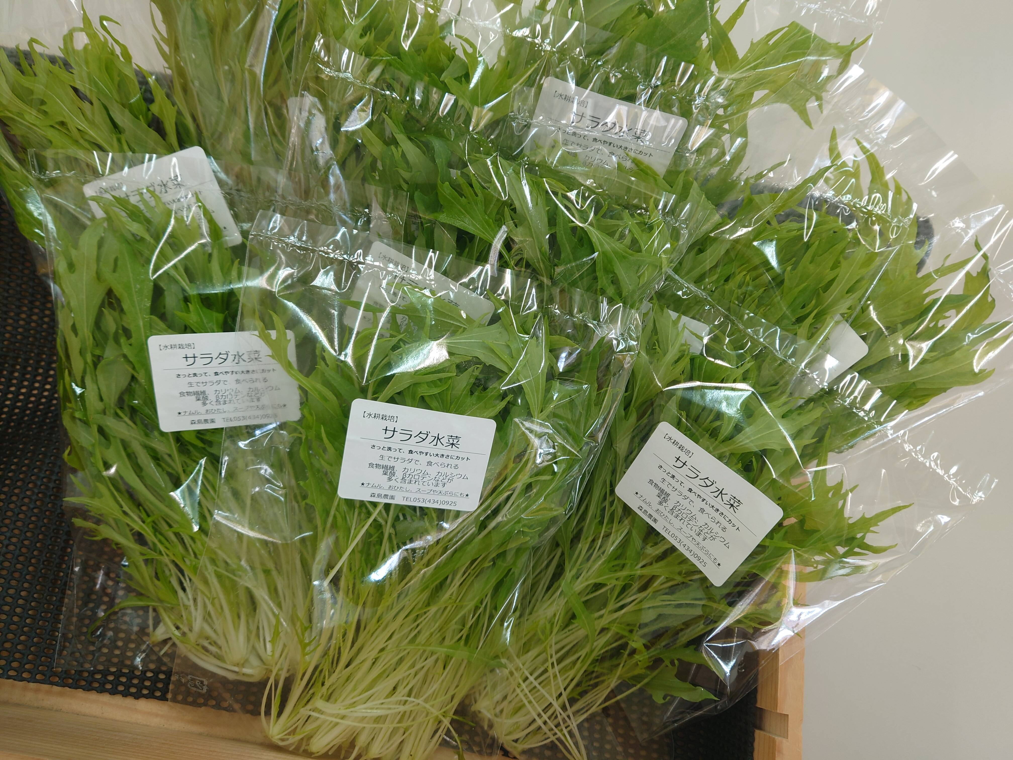 水菜商品 ☆生で食べるサラダ水菜！！☆】サラダ水菜（40g×10袋）さっと洗って