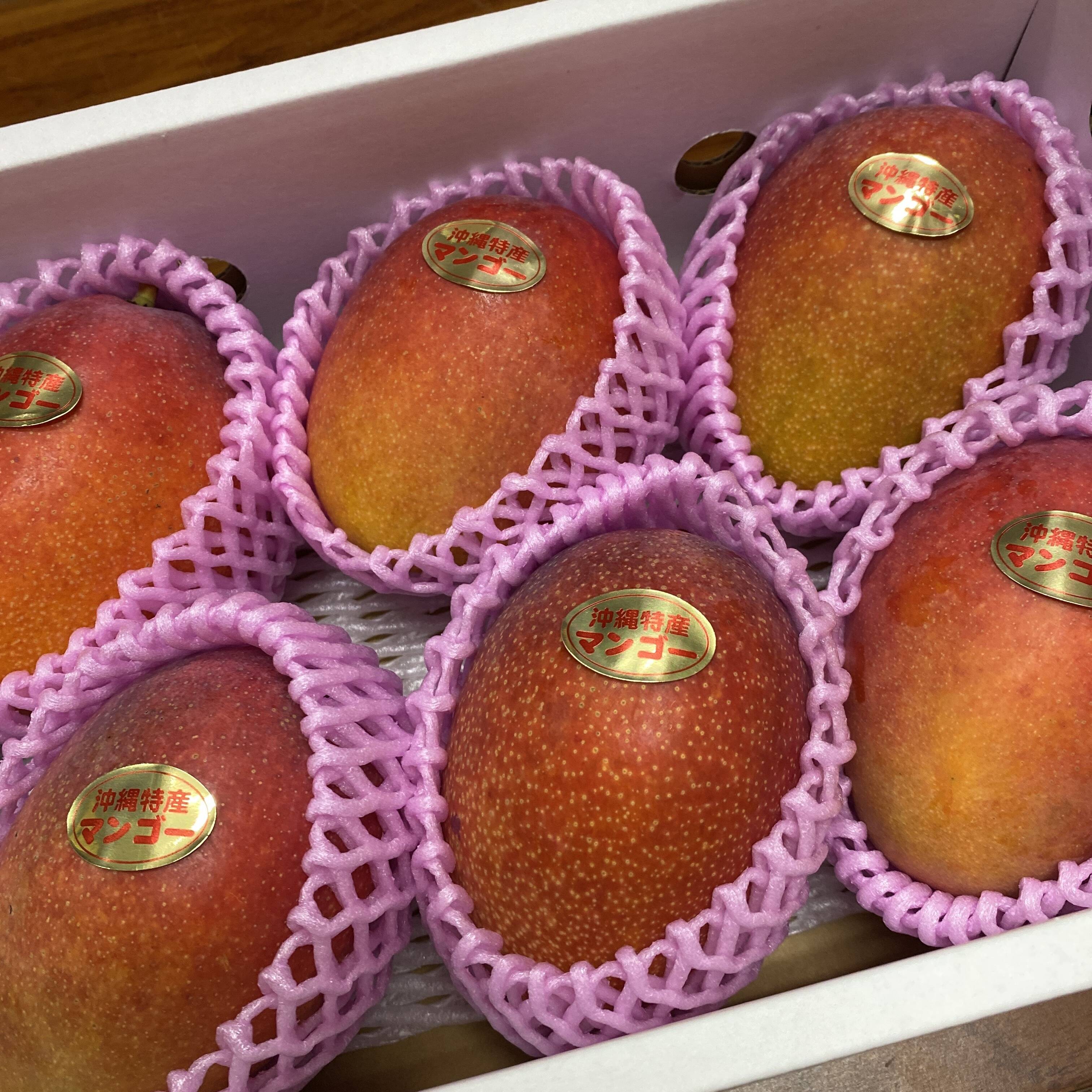 Welina様　　マンゴー2kg 予約]マンゴー2kg(4〜6玉)(家庭用)：沖縄県産のアーウィン｜食べチョク