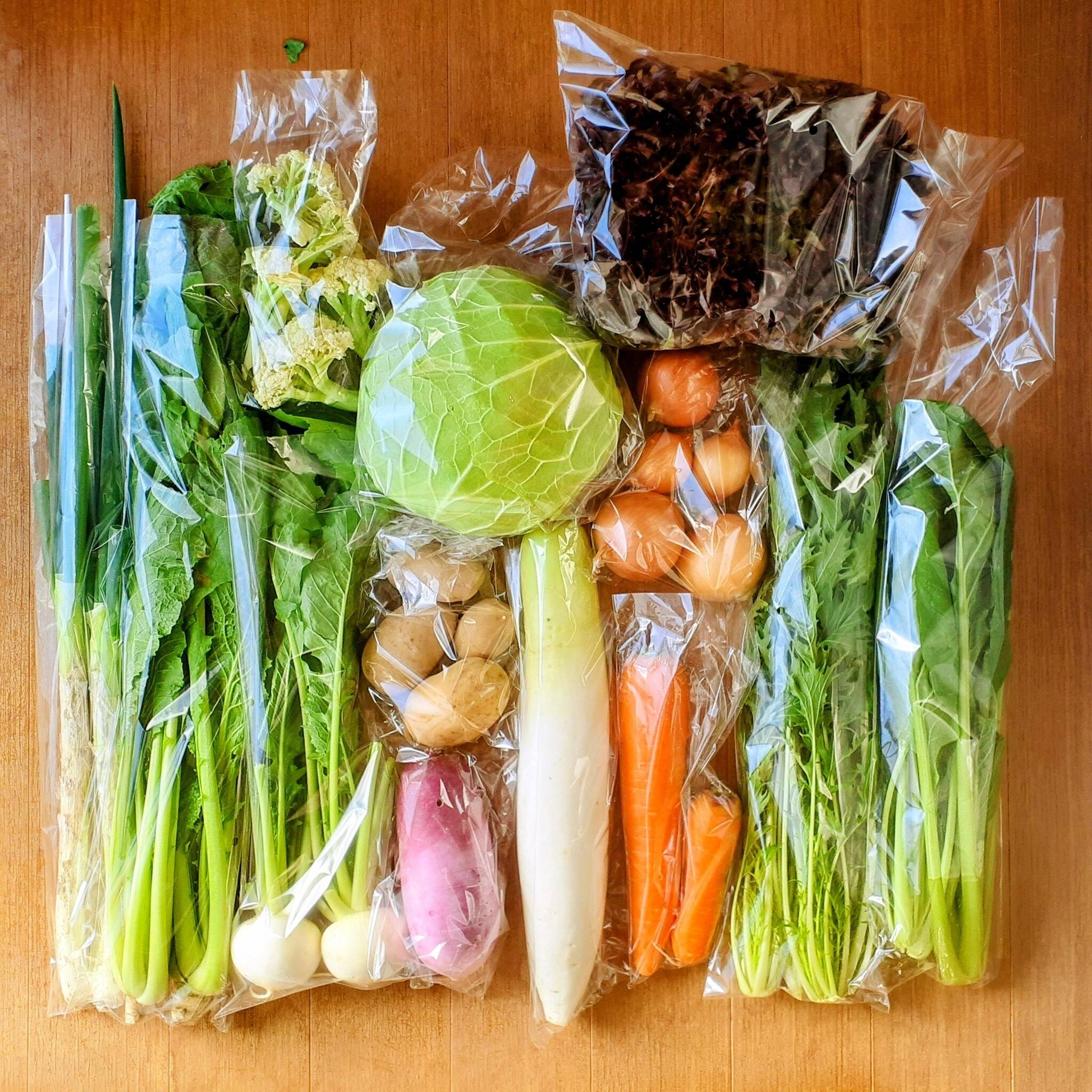 野菜ギフト】信州四賀より里山の旬野菜セット いろいろ楽しめる 9品目
