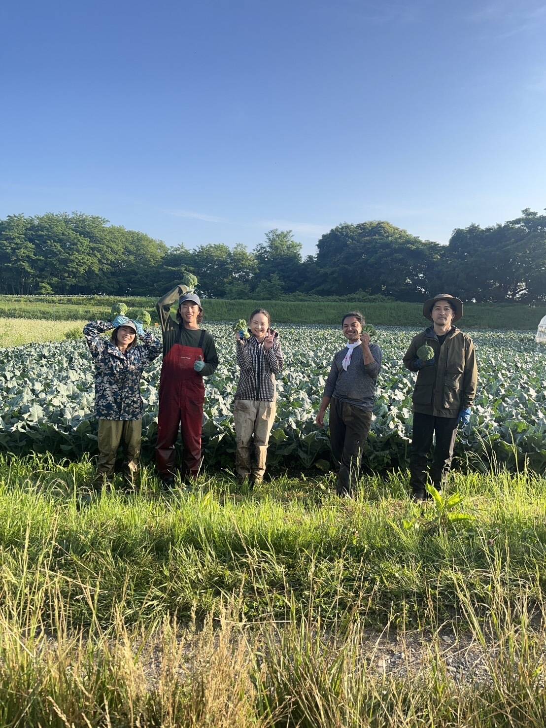 専用商品　チョク様 食べチョク｜産地直送(産直)お取り寄せ通販 - 農家・漁師から旬
