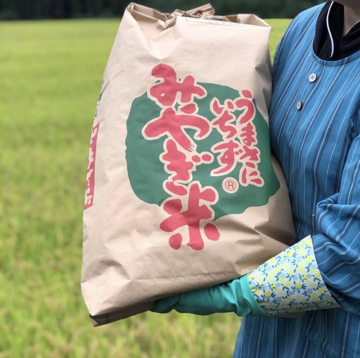 農家直送 送料無料 令和7年度宮城県県産ひとめぼれ 玄米 30キロ 訳あり ひとめぼれ 令和7年宮城県産 玄米30kg 低農薬 母の日ギフト