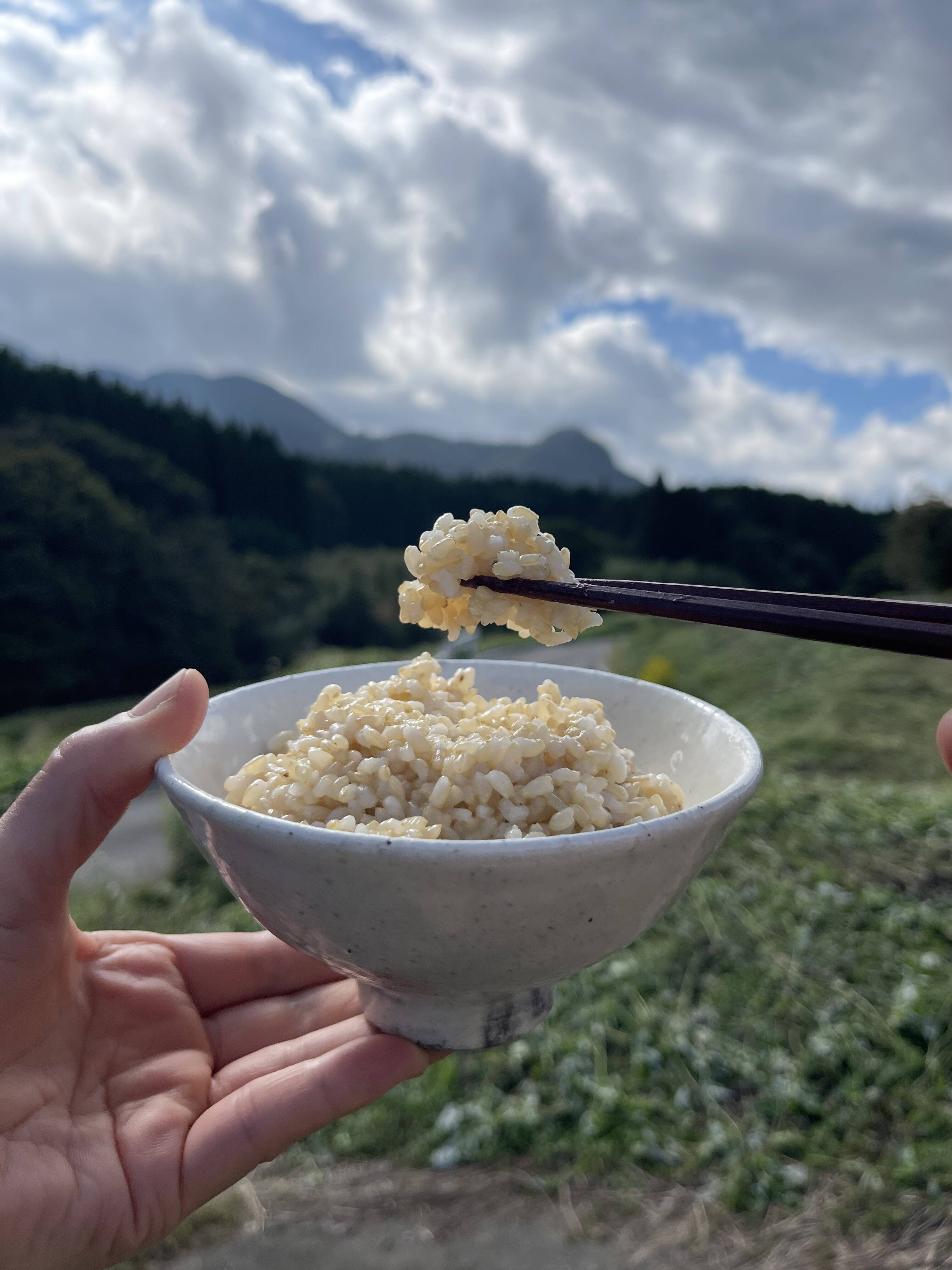 令和7年産【星ヶ峰農園のこしひかり】玄米(5㎏) <農薬・化学生成肥料