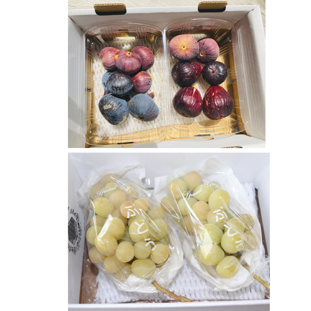 秋の果物詰め合わせ】農薬不使用いちじく2パック 約600g 農薬不使用