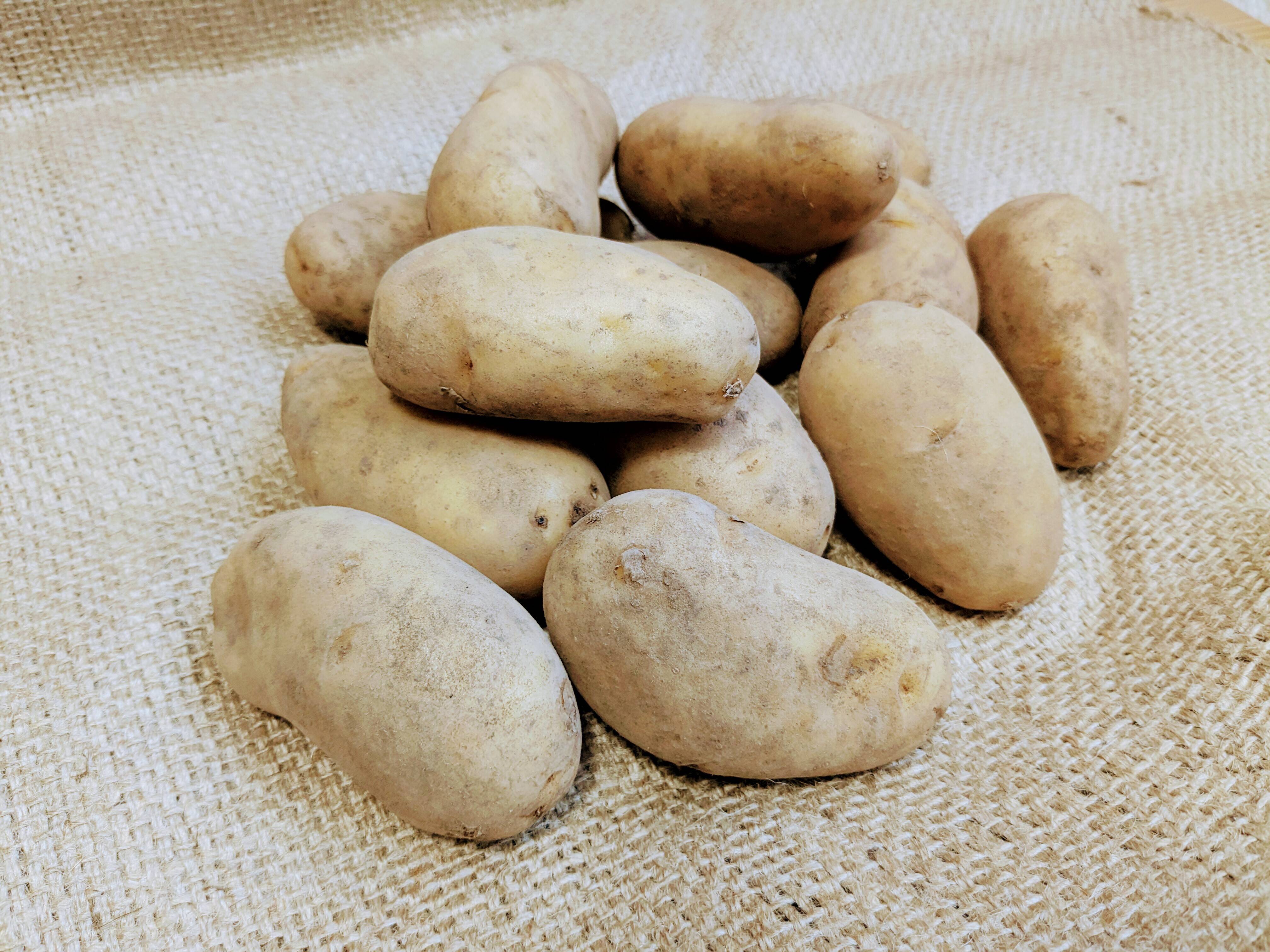 北海道産新じゃが メークインSサイズ 18kg：北海道産のメークイン