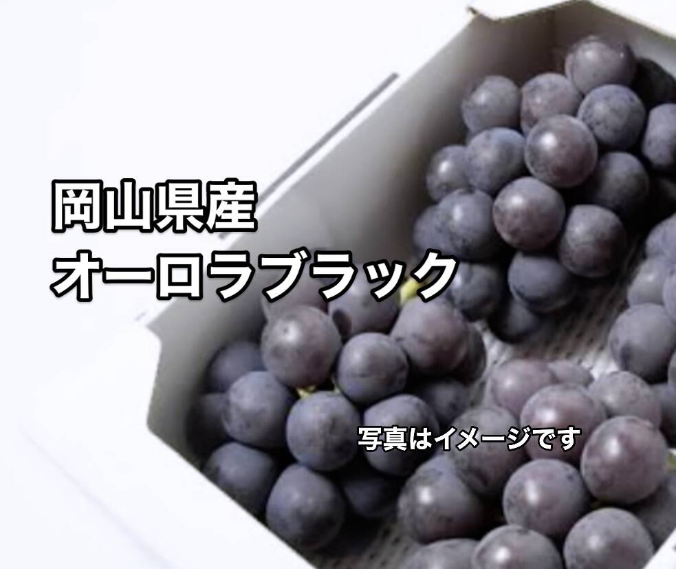 岡山県産オーロラブラック 4房 岡山県産 食べ応え抜群！オーロラブラック2kg（3房〜4房）：岡山