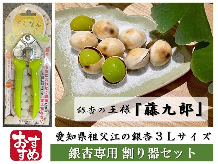 銀杏の王様【藤九郎】大玉3Lサイズ ＆《割り器》セット：愛知県産の
