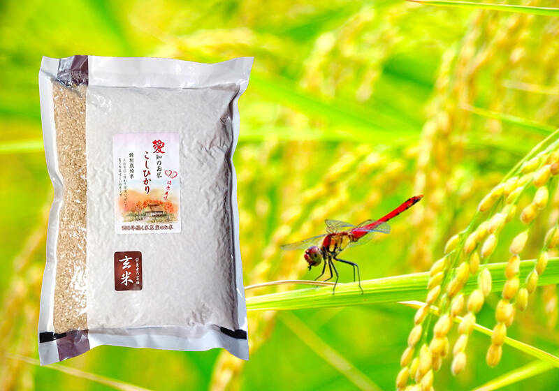 最終 玄米真空パック『早刈り玄米コシヒカリ』令和5年産6kg 最終 玄米真空パック『早刈り玄米コシヒカリ』令和5年産6kg