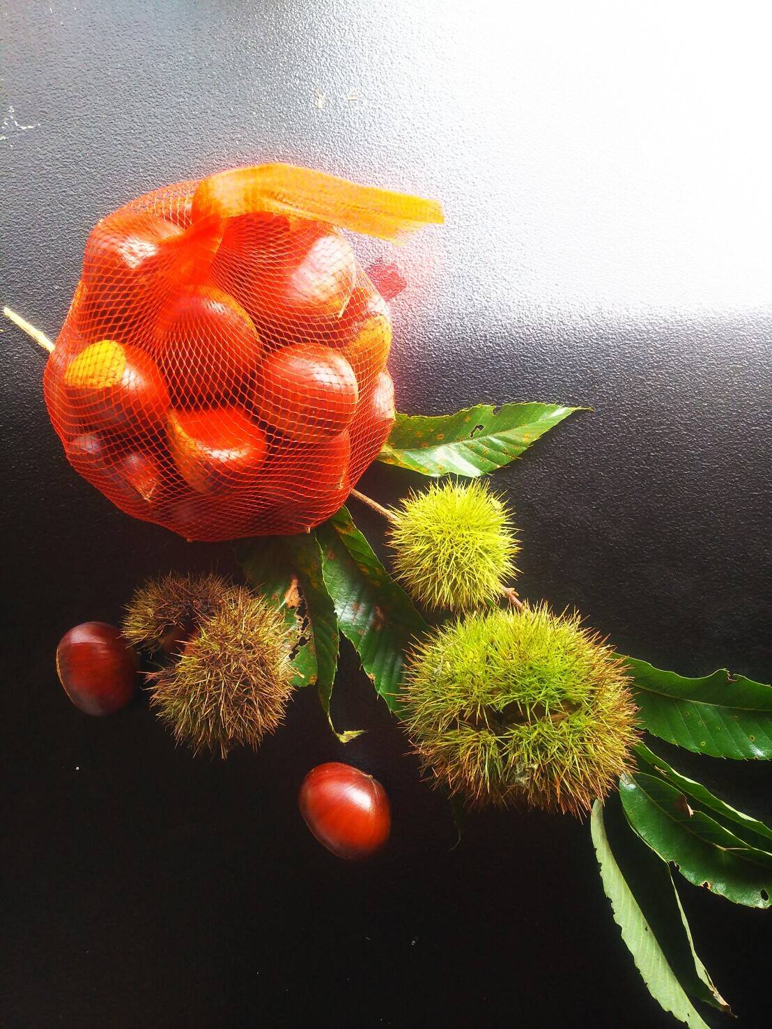 自然栽培】3L～4Lサイズ！！ 大人気の丹波 栗1kg✨：静岡県産の