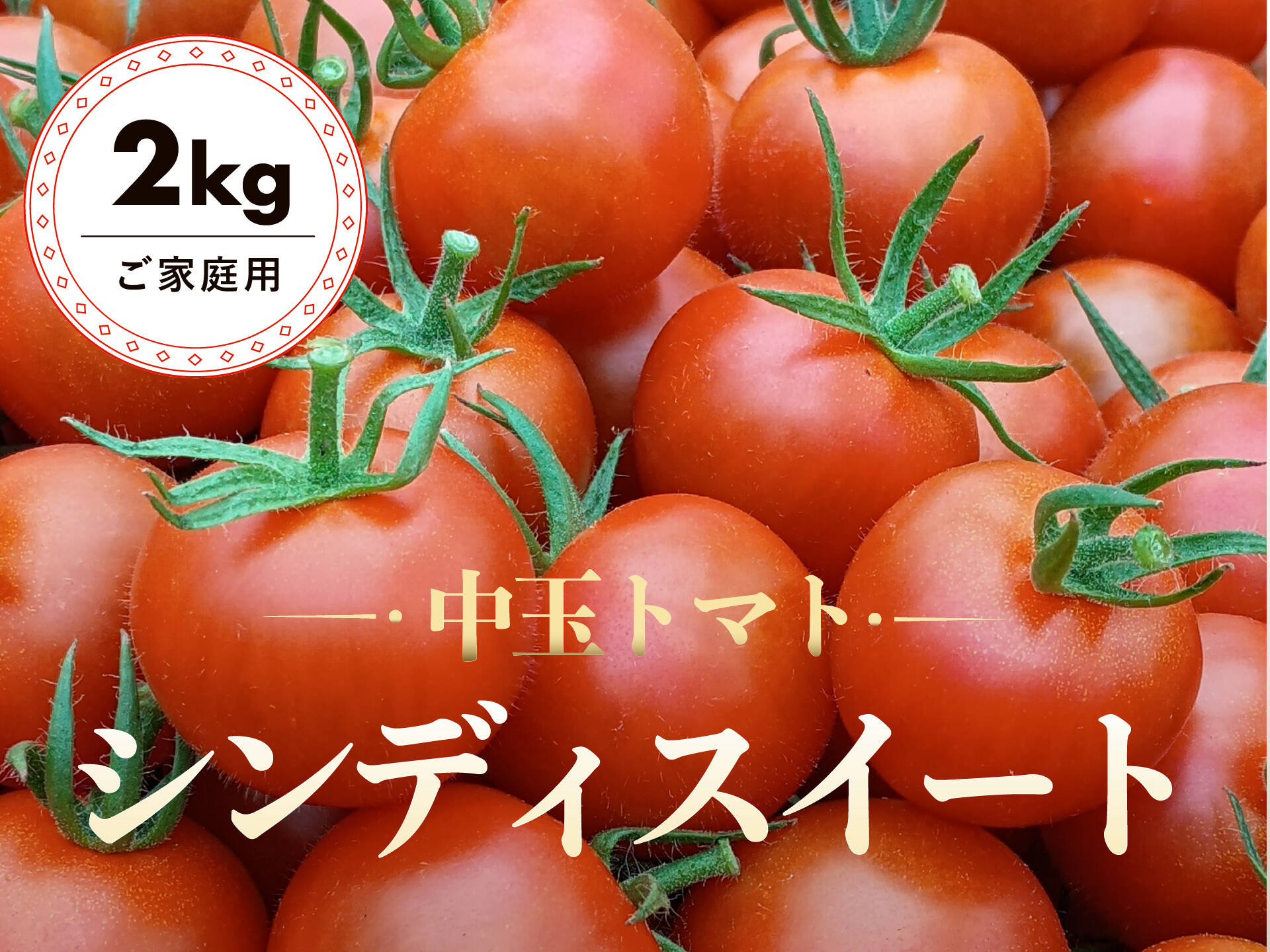 すっきりとした味わい！中玉トマト「シンディスイート」（ご家庭用 