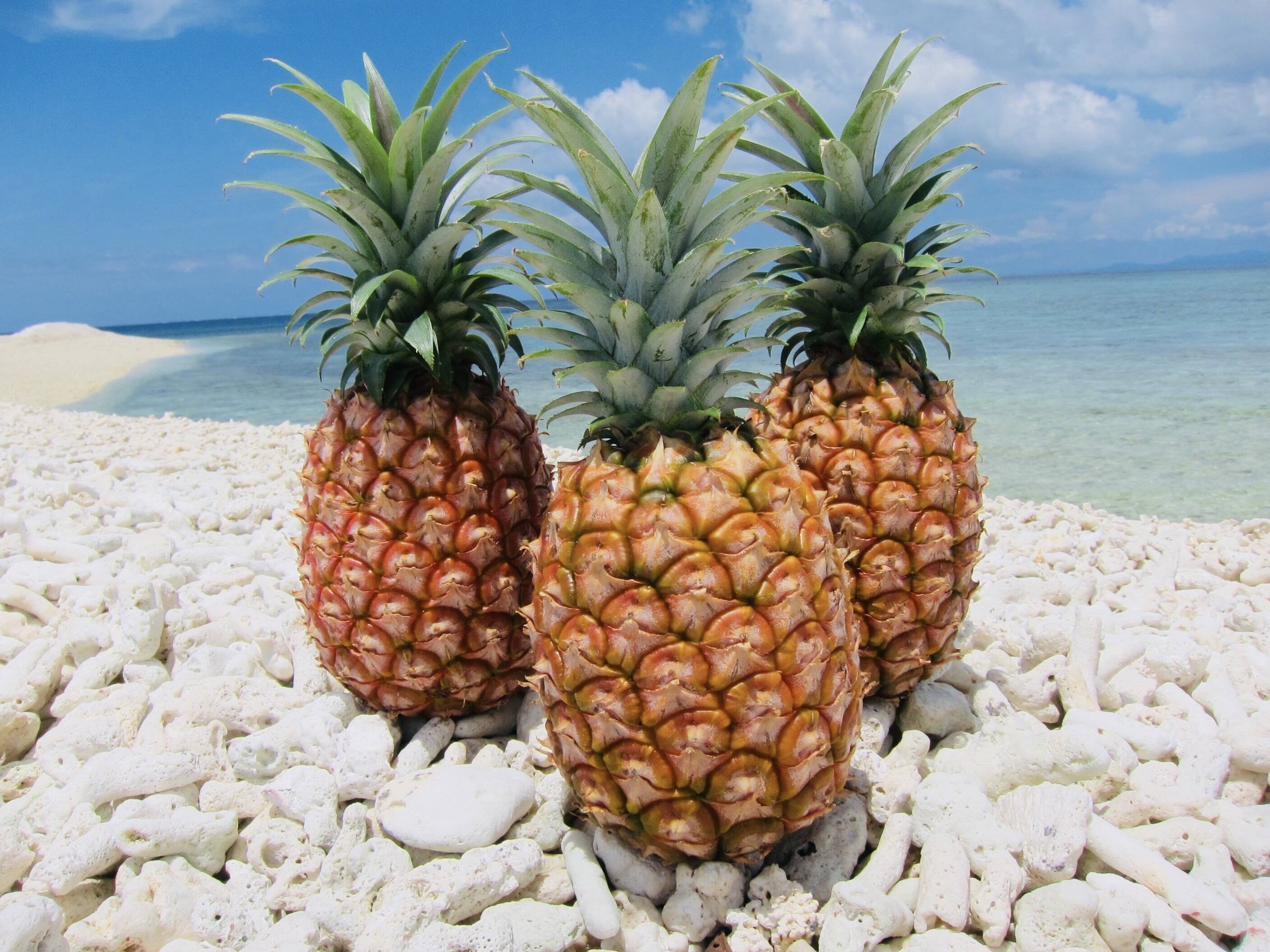 59b69de6a43b6adc761e0cc63be7bd