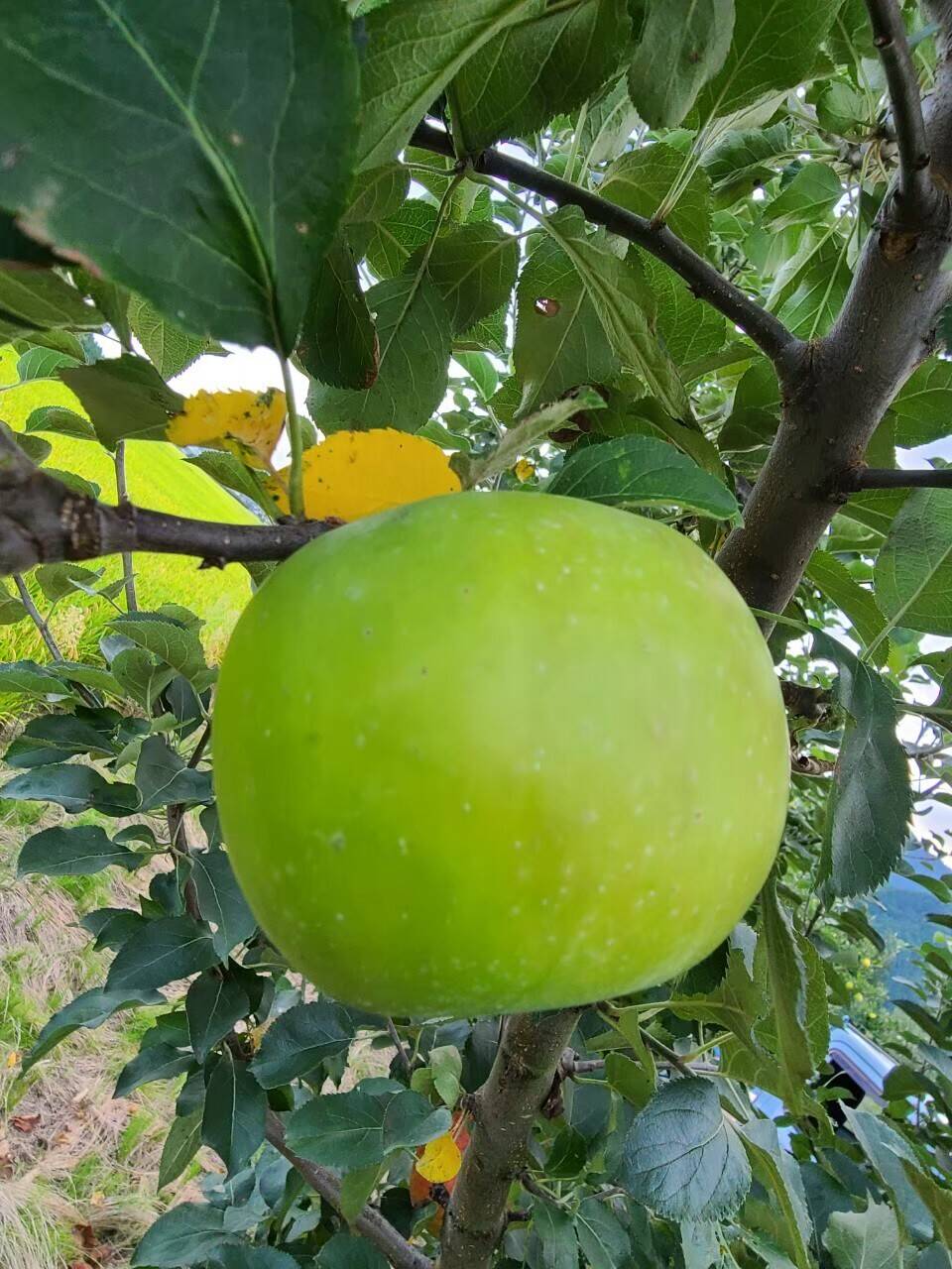 5a0ee9caaa51da4a01ae040a27fbd8