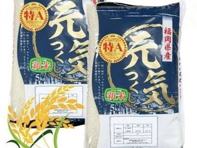 2026.R8 新米 九州米 福岡県産 元気つくし5kg：福岡県産のお米｜食べ