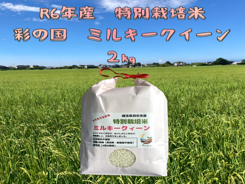 秋田県産　ミルキークイーン　10k 農家直送　R6年産 楽天市場】秋田県産 ミルキークイーン 令和6年産 選べるお試し袋