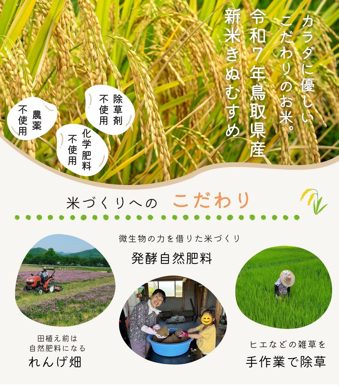 shokkika様　リクエスト　農薬不使用豊後梅　9キロ位 shokkika様 リクエスト 農薬不使用豊後梅 9キロ位 - メルカリ