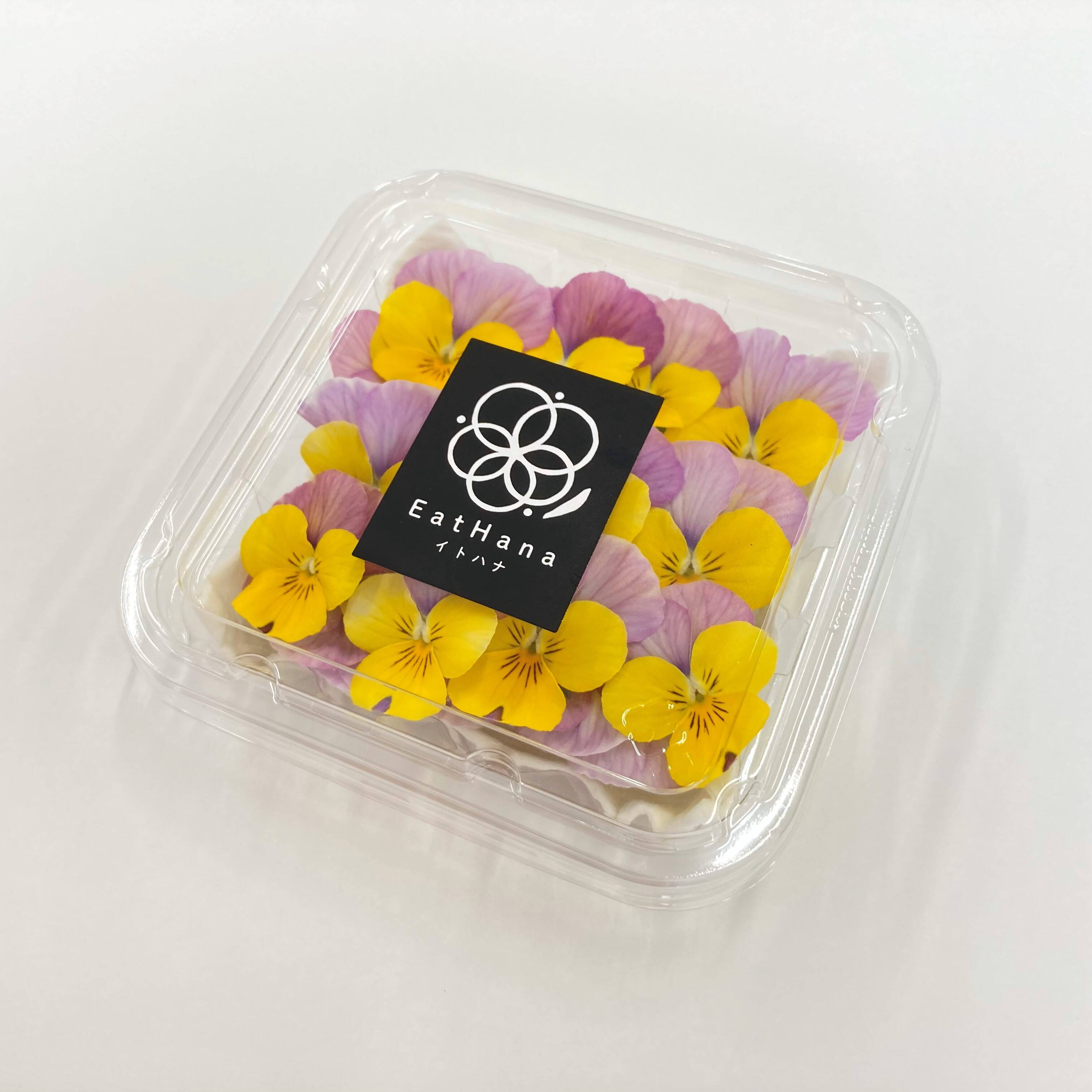 室内栽培＞【エディブルフラワー ビオラ イエローバタフライ（20輪