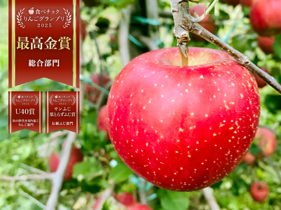 りんご りんごGP2025最高金賞1位🎊【究極のサンふじ】コスモふじ 5キロ箱 商品