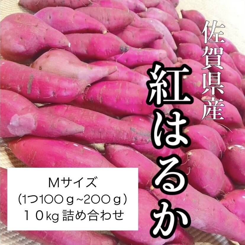 長期熟成 べにはるか 10kg：佐賀県産のべにはるか｜食べチョク｜産地
