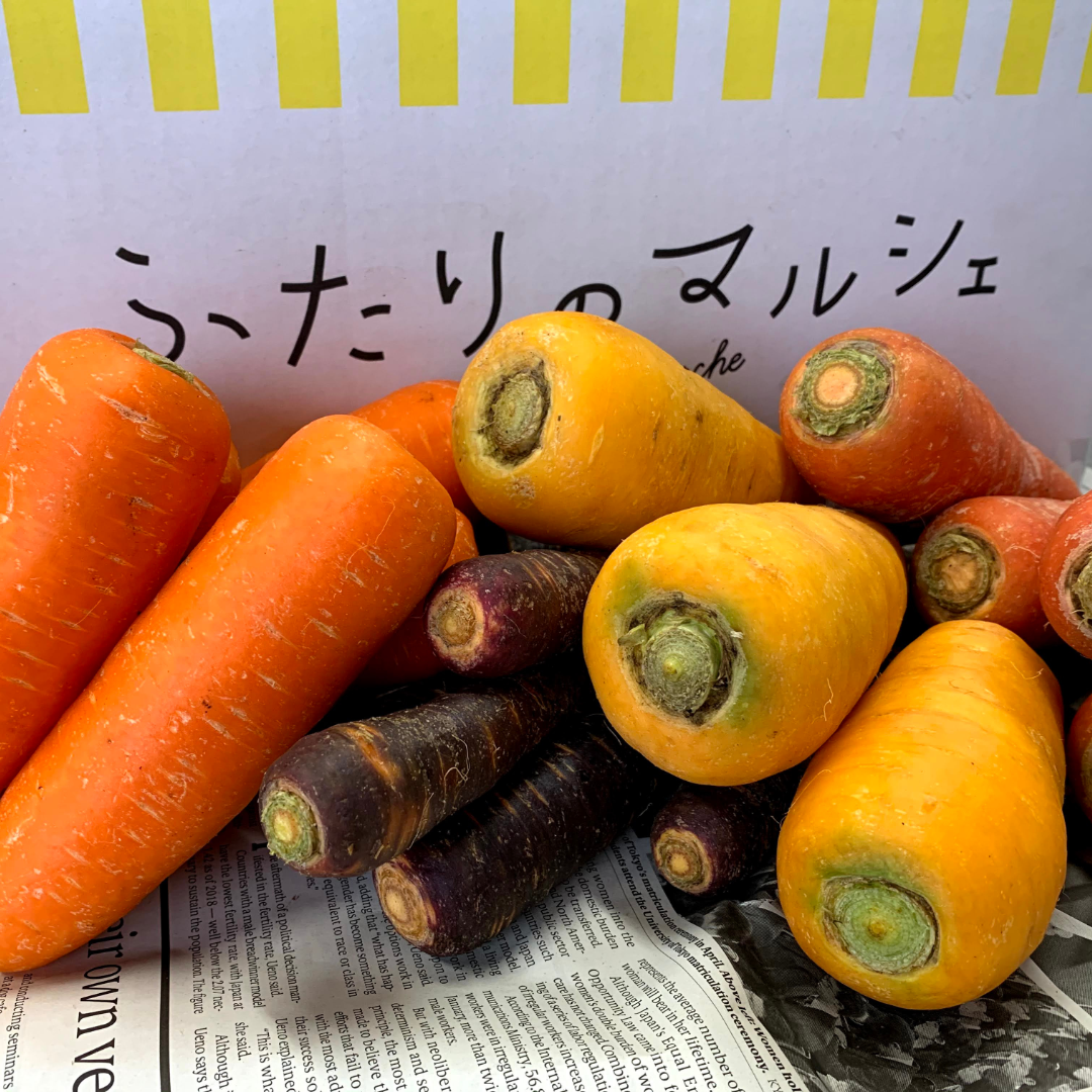 色とりどり！甘さ際立つ雪下にんじん食べ比べセット（計3.5