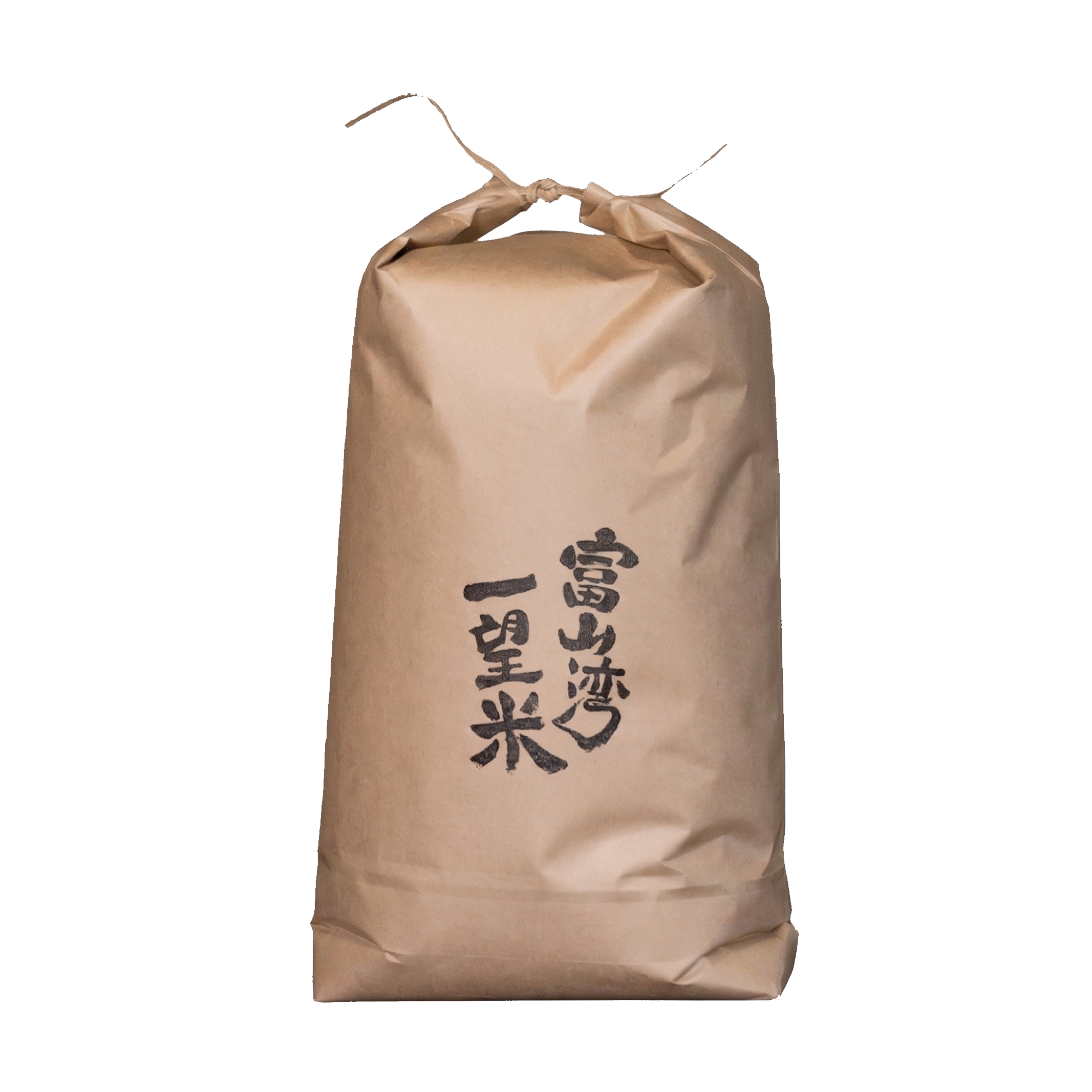 令和8年新米 10月中旬～発送】富山県産コシヒカリ玄米10kg 富山湾一望