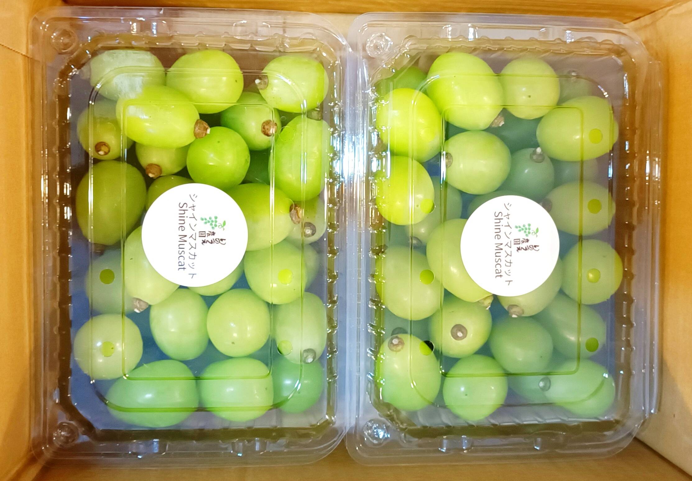 ご家庭用、岡山県産訳ありシャインマスカット(1kg粒)：岡山県産の