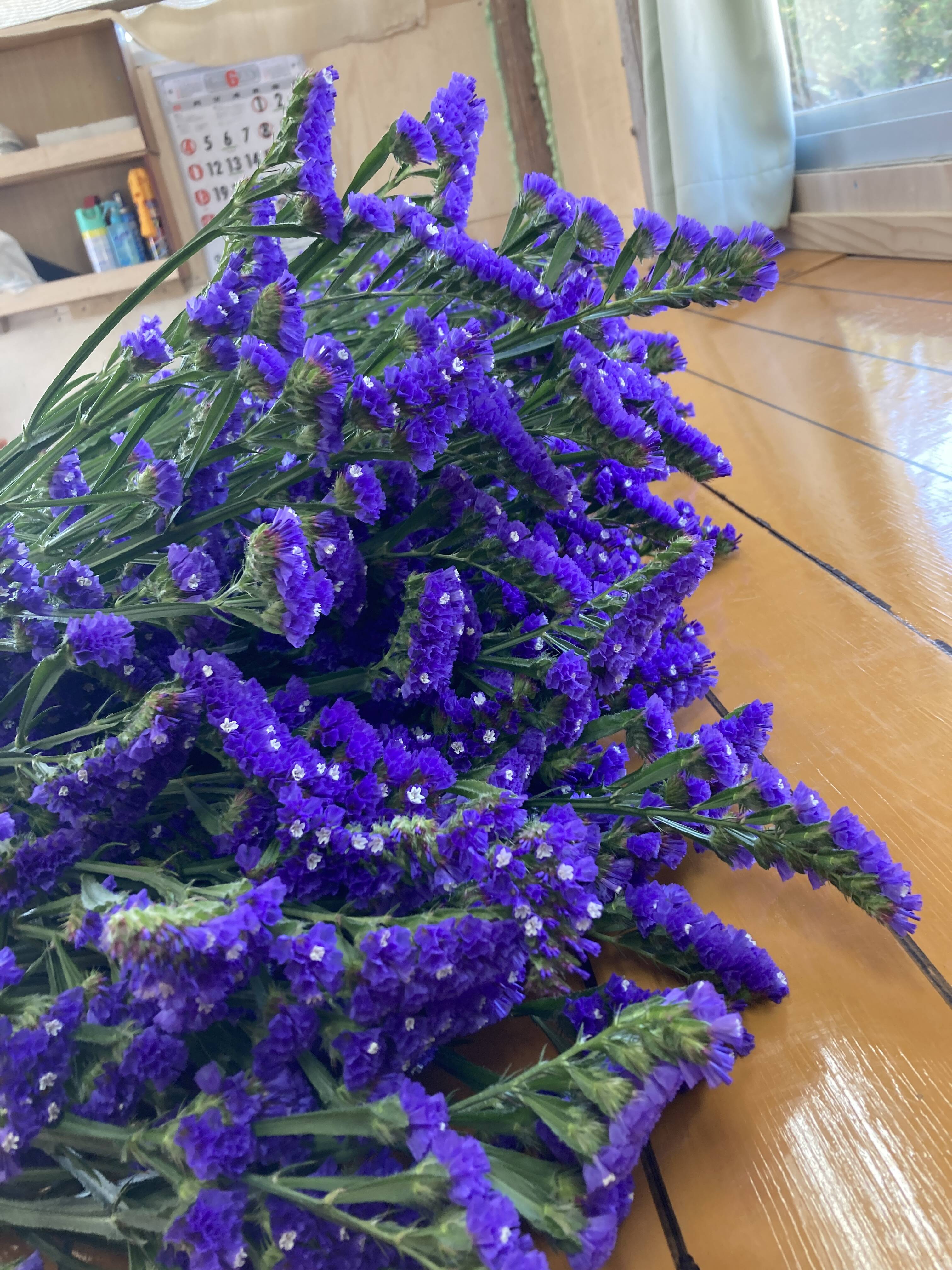 ドライフラワー好きの方におすすめ】【仏花としても】スターチス 紫色