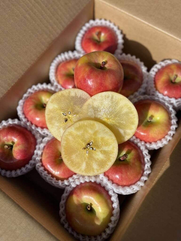 青森県産りんご 蜜たっぷり葉とらず高徳 贈答用【3㎏ 9～12個