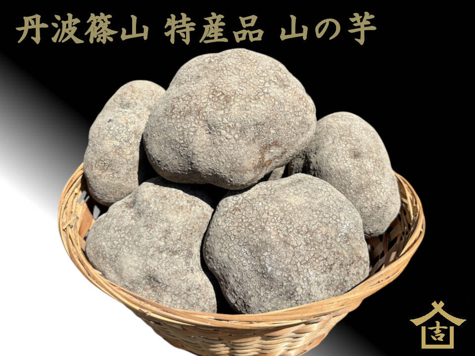 5b55a1902c14732953dba4ae757a5e