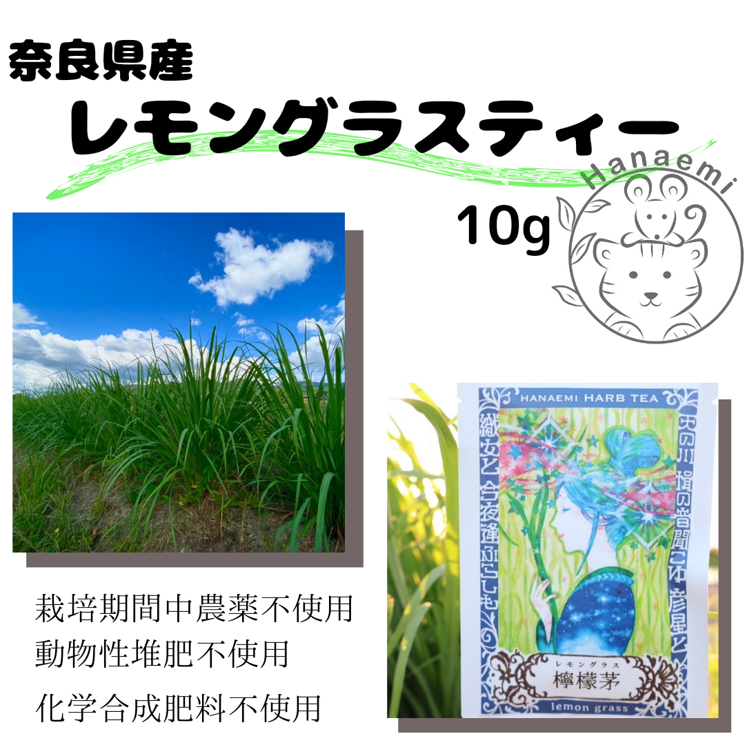 レモングラスおまとめ3点 6894-368-