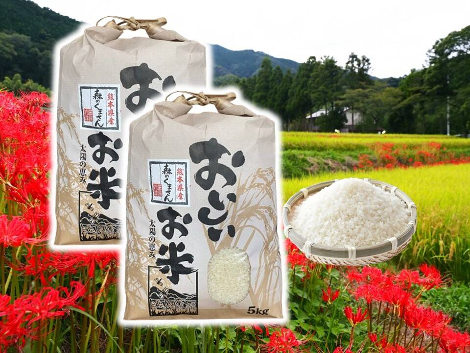 菊池米10㎏(梱包資材込みの10㎏です)
