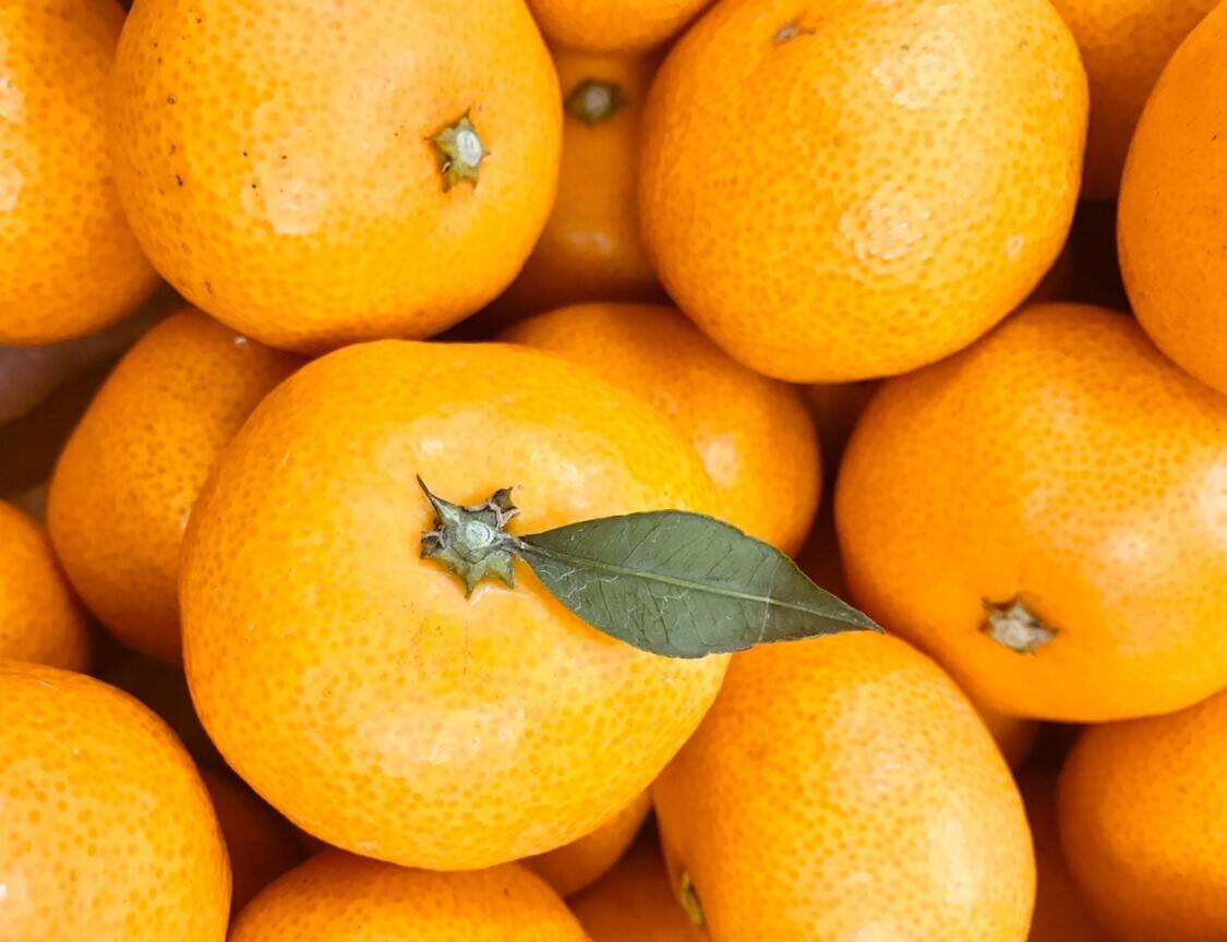 12/20より順次発送 幻のみかん『石地（いしじ）サイズ混合 5kg』 希少