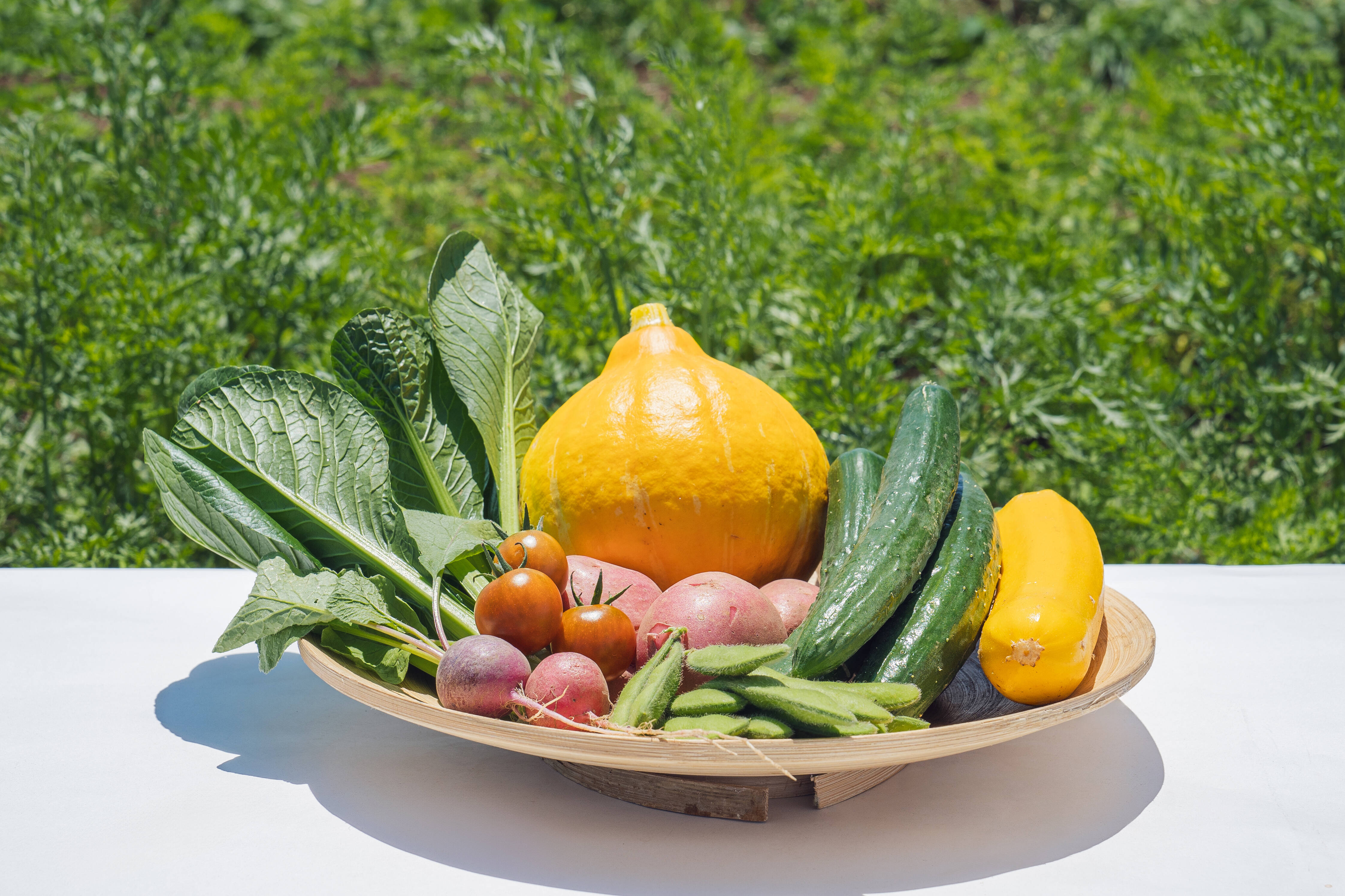 おためし少量】旬の野菜セット(野菜4種類)農薬・化学肥料不使用：埼玉