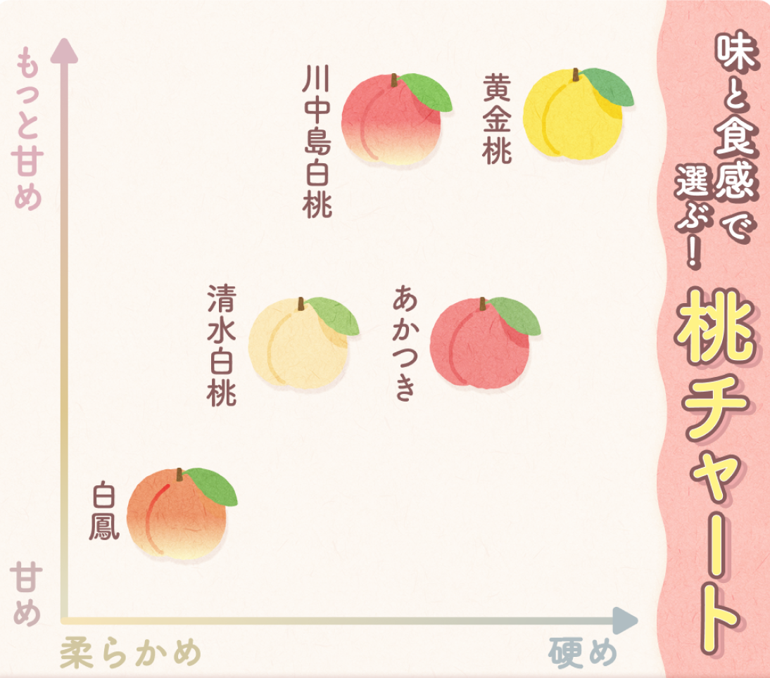 【桃チャート】味と食感で選ぶ！あなたはどの桃派？｜食べチョク