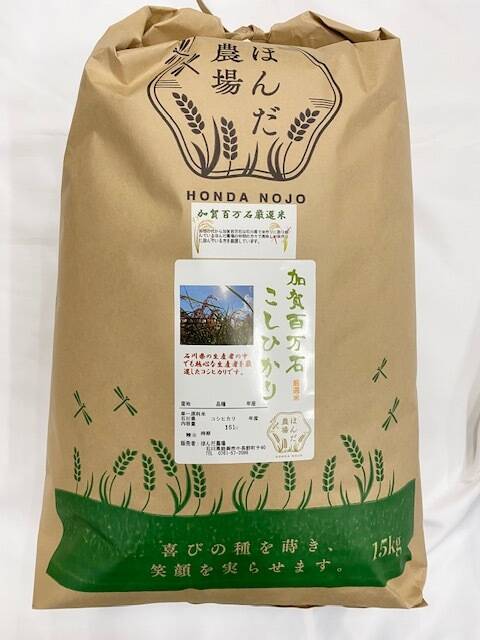 令和7年産 石川県産 厳選コシヒカリ 白米 15kg：石川県産のお米｜食べ