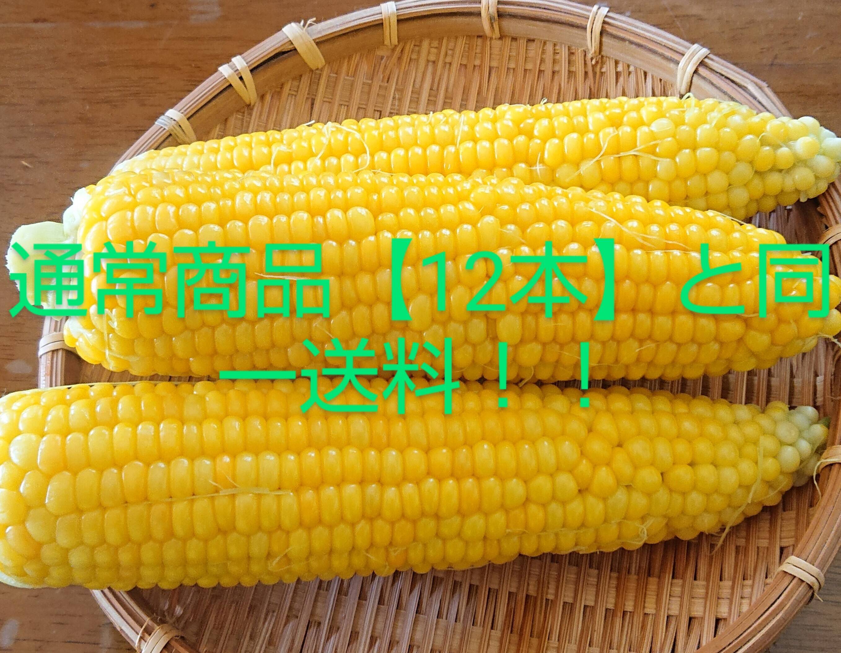 一度お試しあれ！」 22本 あま～〜い！！【トウモロコシ】 ✩ほしつぶ