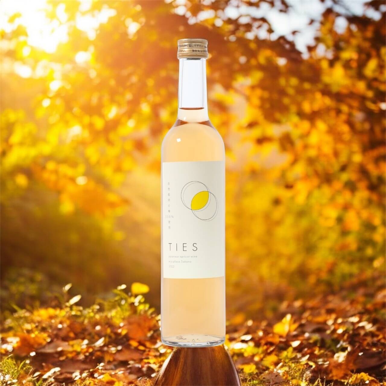 新定番！料理がおいしい梅ワイン 自然栽培の梅100%使用(無添加