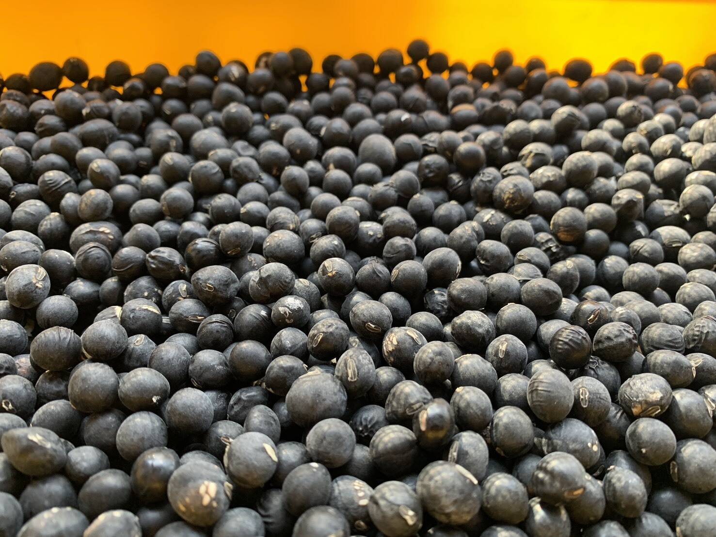 自然栽培】丹波黒大豆B品 400g☆農薬肥料不使用の兵庫県産黒豆 [令和