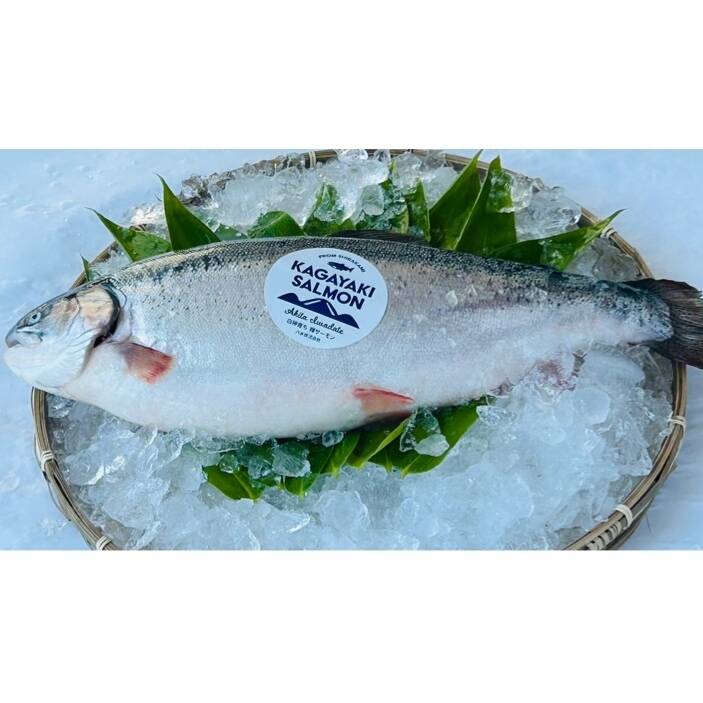 5c9ea72372b562c850e5b5b37a8cbb