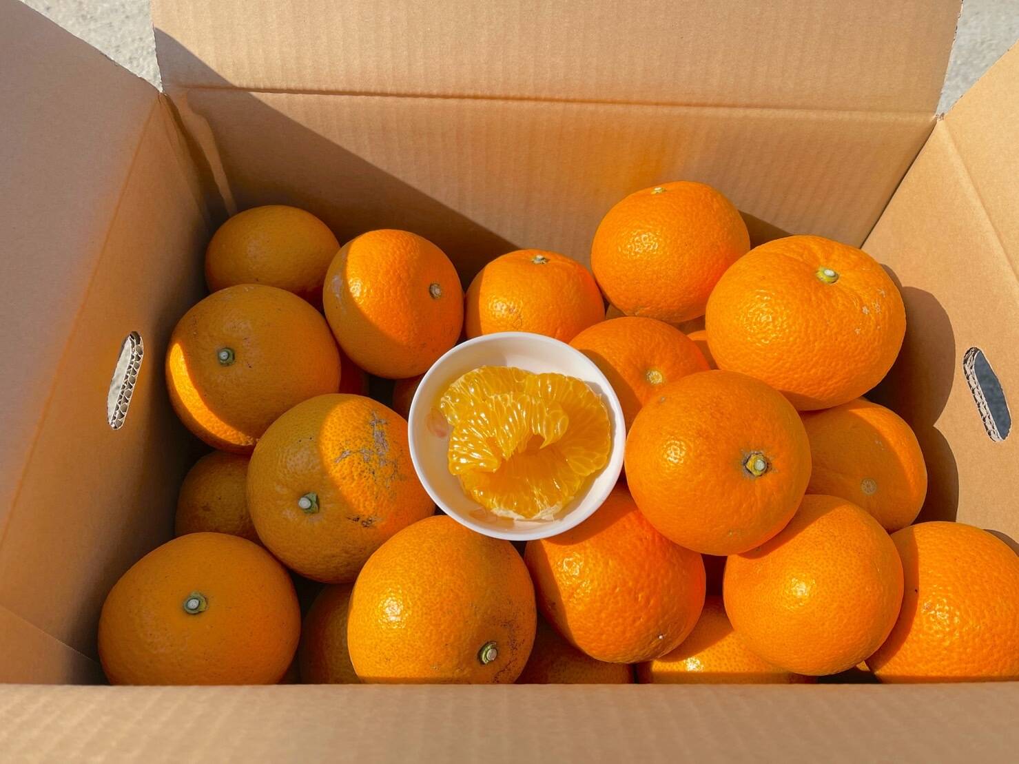 5cc8cb1eef191a998fa6de5d834b87