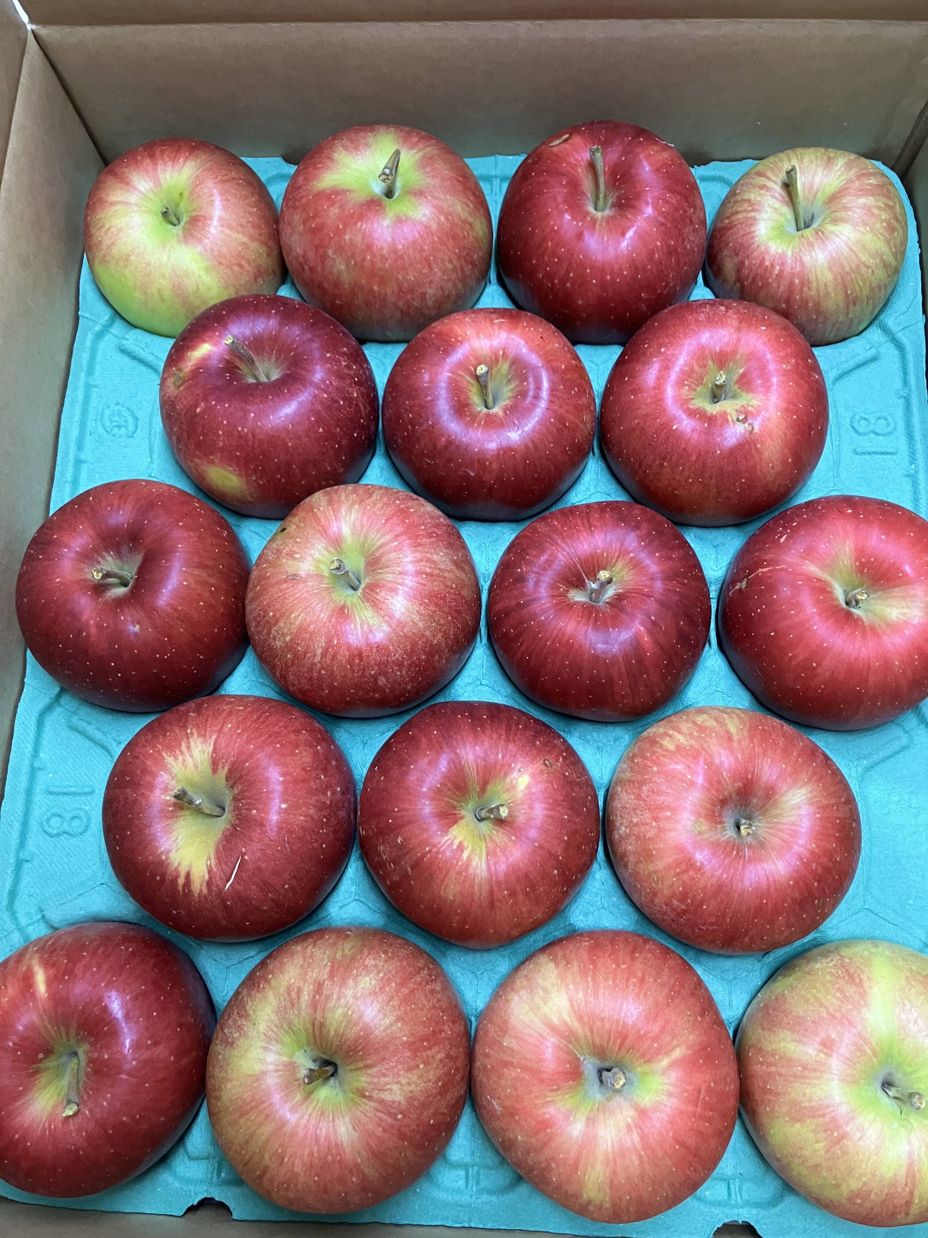 青森県産りんご【シナノスイート】215家庭用15kg やまち 青森県産りんご 「シナノスイート」家庭用 キズ有 約5kg【人気・光