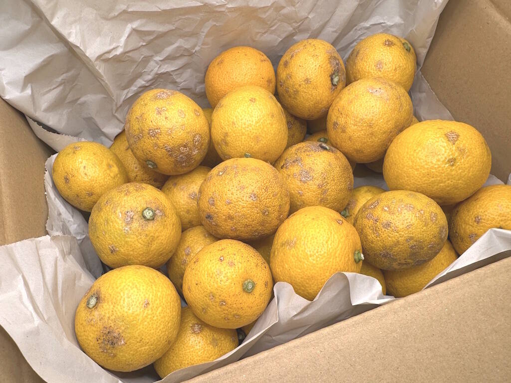 5cfd2d46be7be64038fb864c5fb169