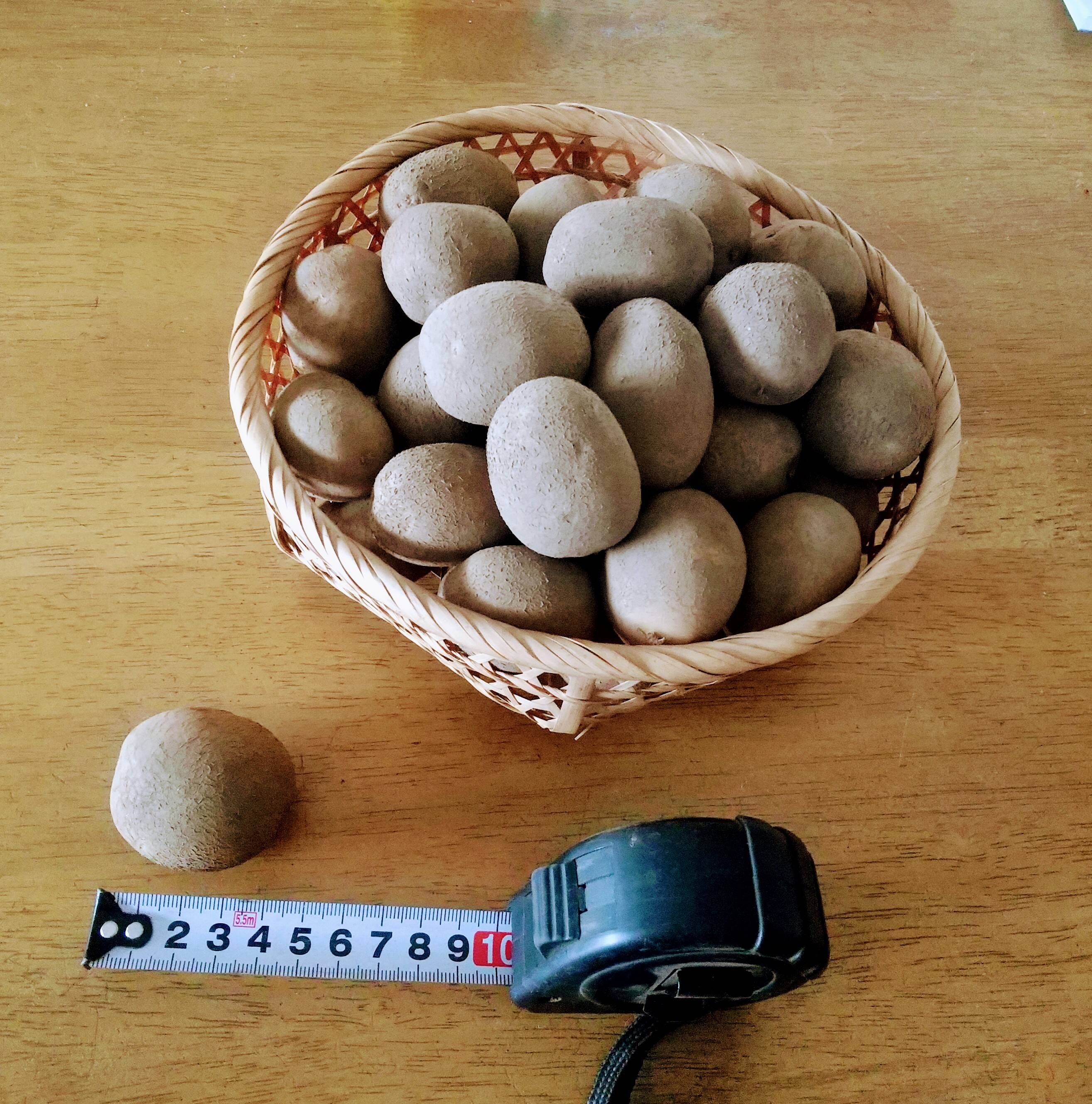 北海道十勝産】訳あり・ちびイモ マチルダ（7~8kg）：北海道産の 
