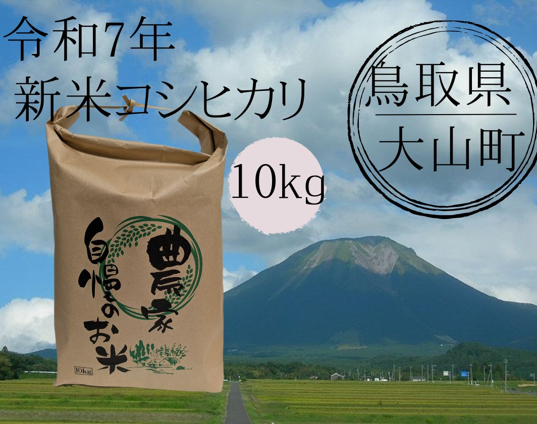 新米 コシヒカリ 10kg 精米 令和6年 鳥取県産 農家直販 愛情たっぷり コシヒカリ 新米 令和6年 鳥取県産 日置米 10kg 白米or玄米選択