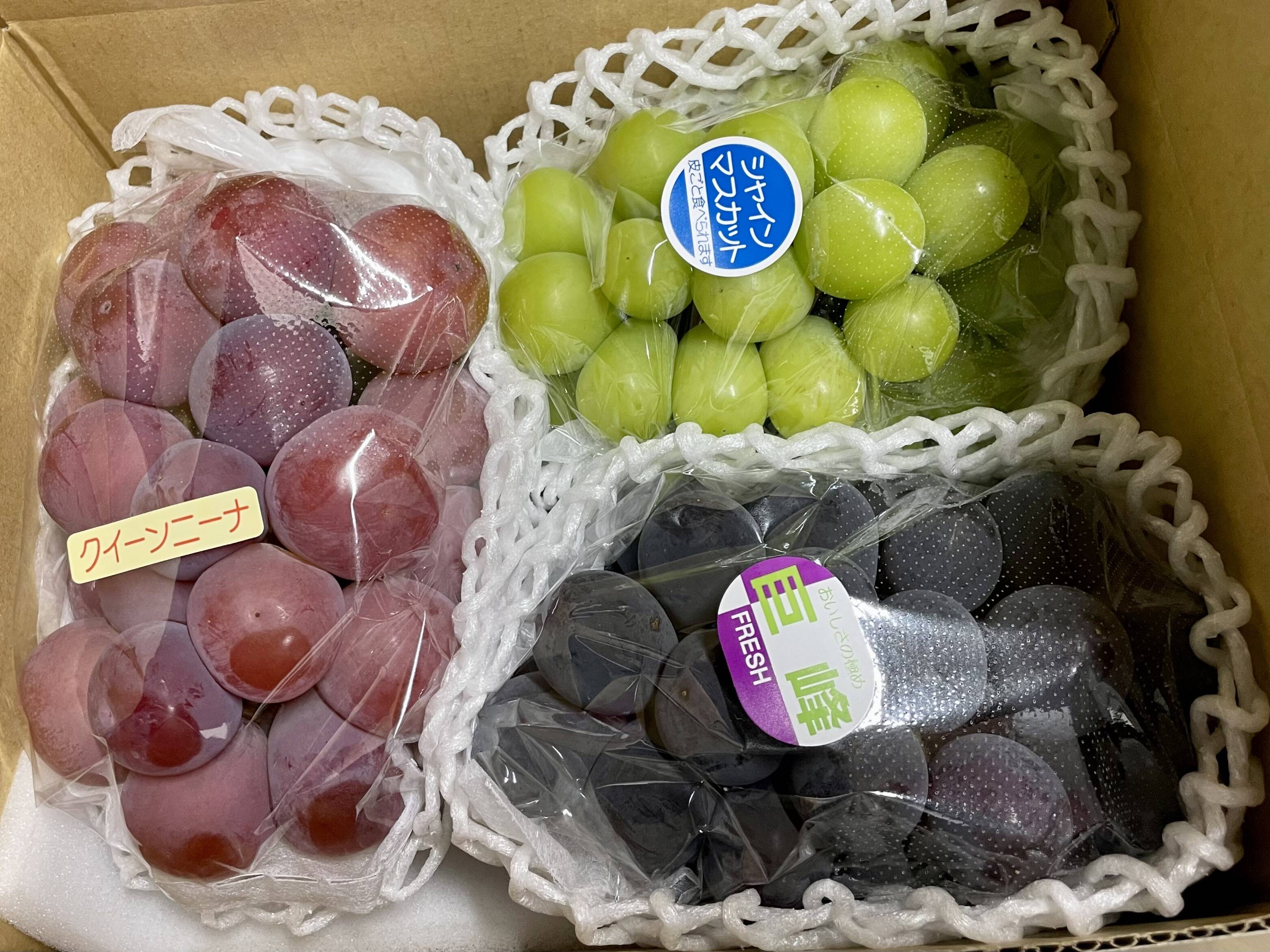 楽天市場】【長野県産】シャインマスカット 5キロ (7〜10房入り