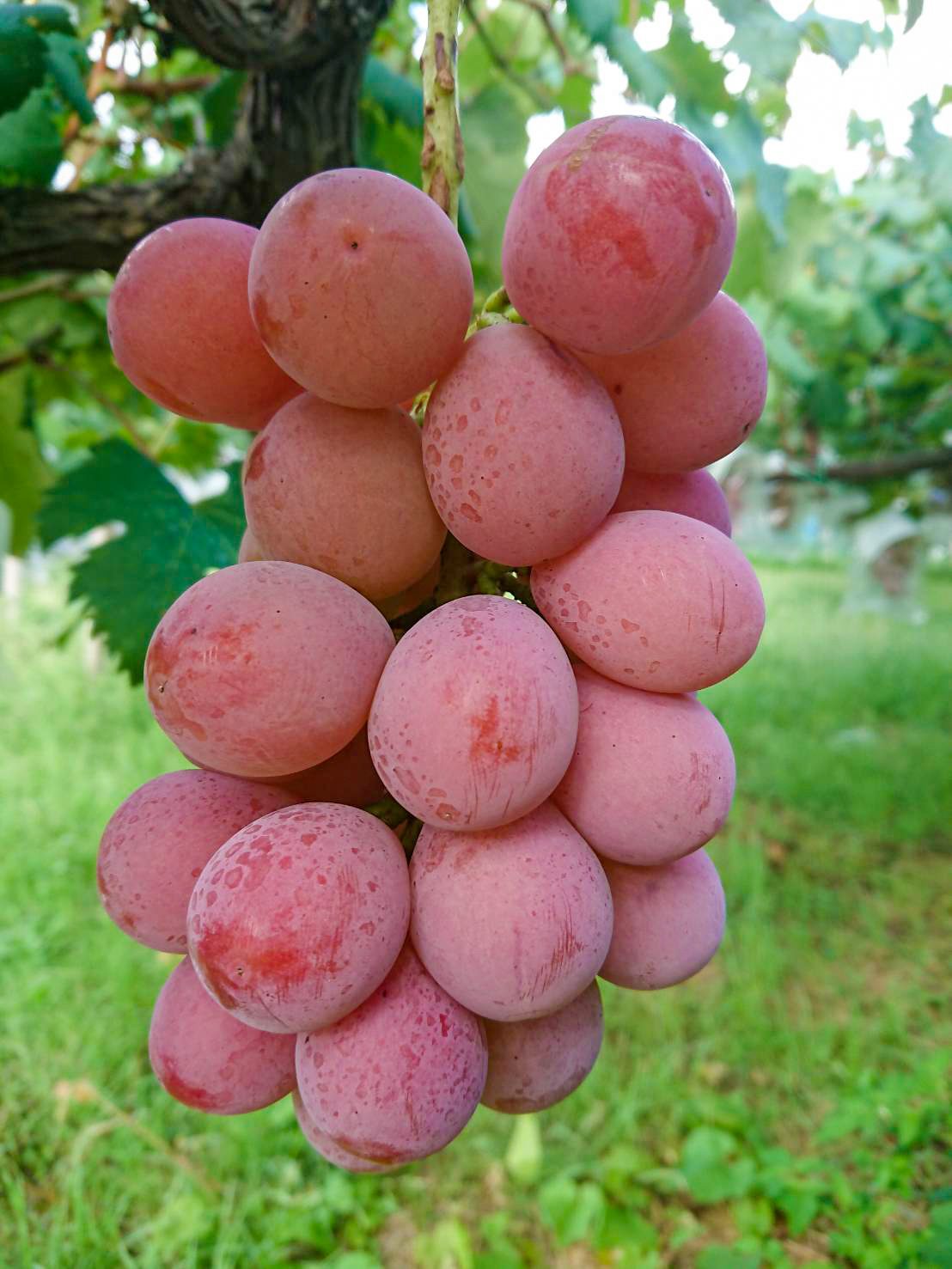 5d615e29439bcdb6d0a598d5eb802d